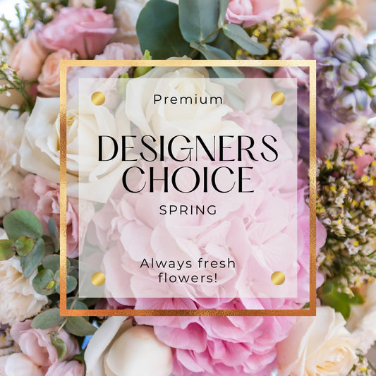 Designer’s choice - Spring Collection